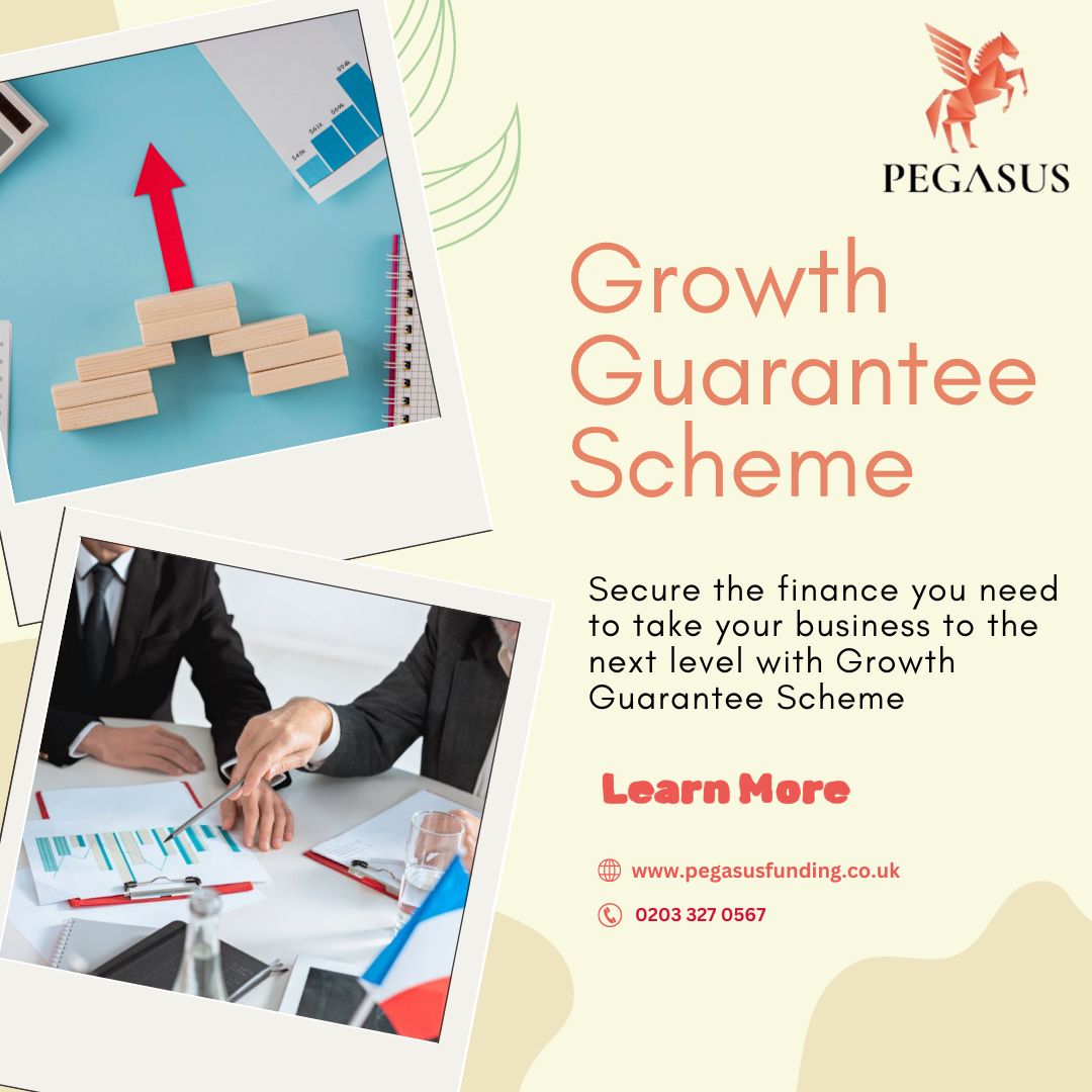 growth guarantee scheme